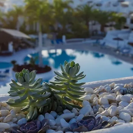 Appartement Paradise With Ocean View Playa Paraiso (Tenerife)